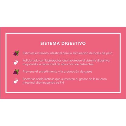 kisha beneficios