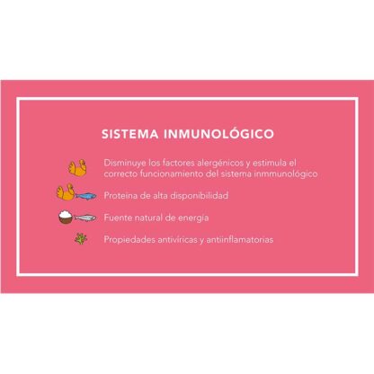 kisha beneficios