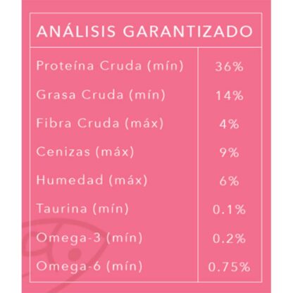 análisis kisha kittens