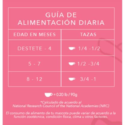 guía kisha kittens