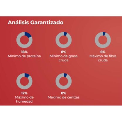 análisis garantizado maxi bobby