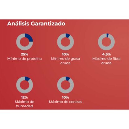 análisis garantizado grateful cachorro