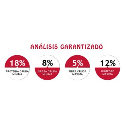 análisis garantizado ringo