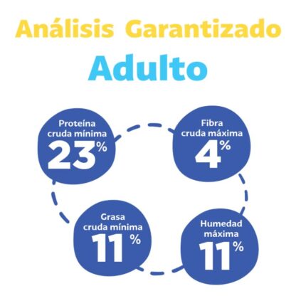 laika adulto analisis
