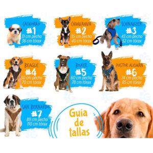 guía de tallas pecheras