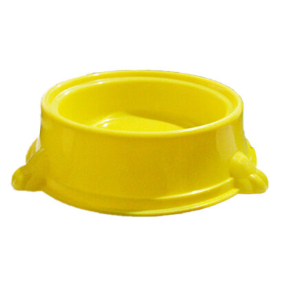 plato perro grande