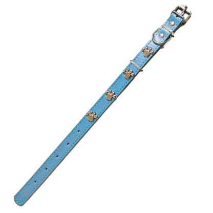 collar bonito perro