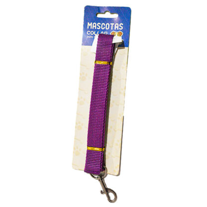 collar para perro