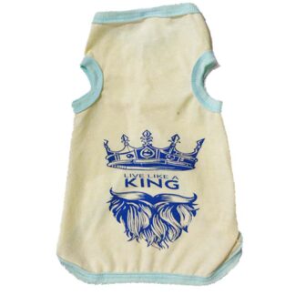 playerita para conejo