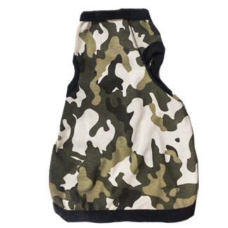 playerita para gatito