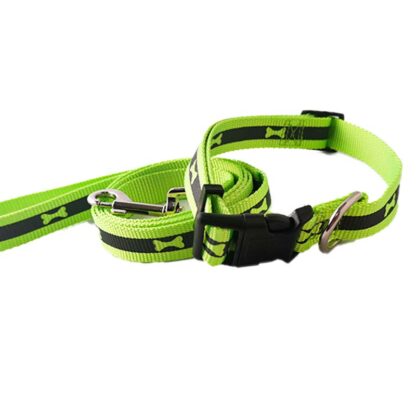 collar fosforescente