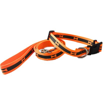 collar fosforescente