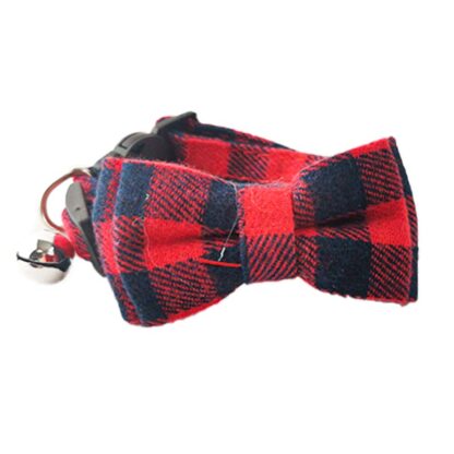 collar perro pequeño