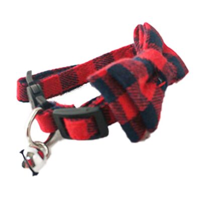 collar gato