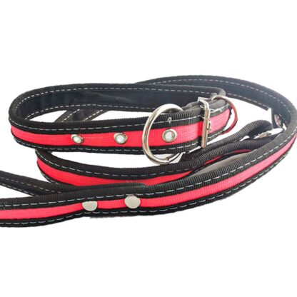 collar con correa