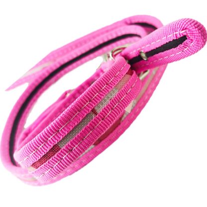 collar con correa