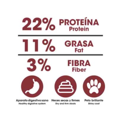análisis dinapet