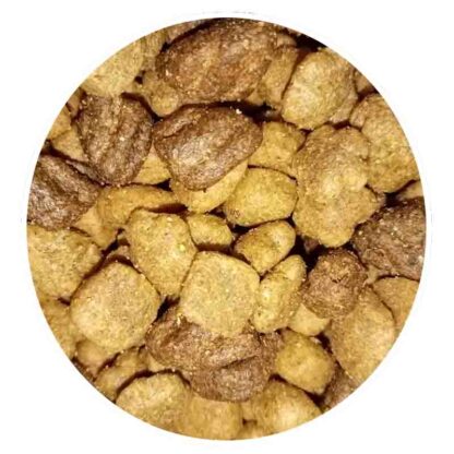 dog chow granel