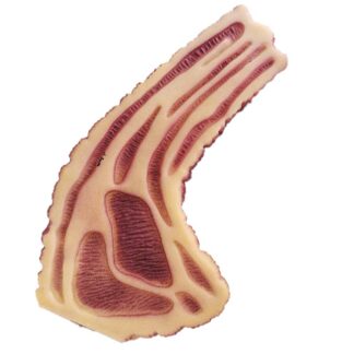 juguete chillon perro grande