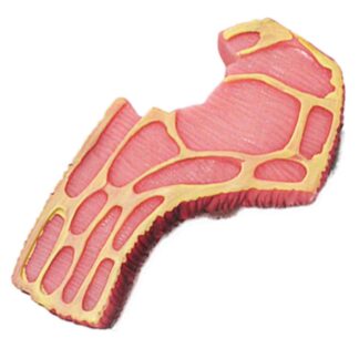 juguete chillon para perro