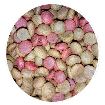 croquetas noble adulto