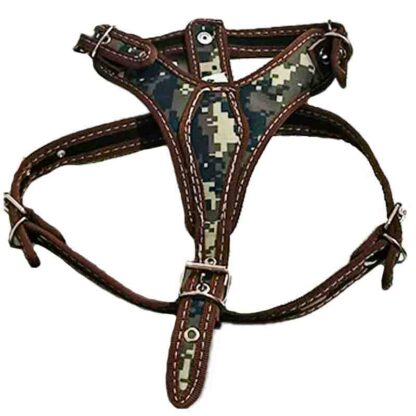 pechera talla 4