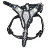 pechera talla 3