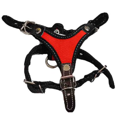 pechera talla 2