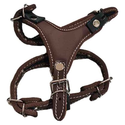 pechera talla 2