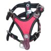pechera talla 2