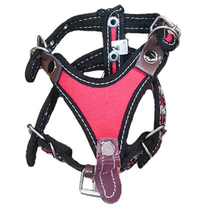 pechera talla 2