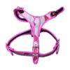 pechera talla 6