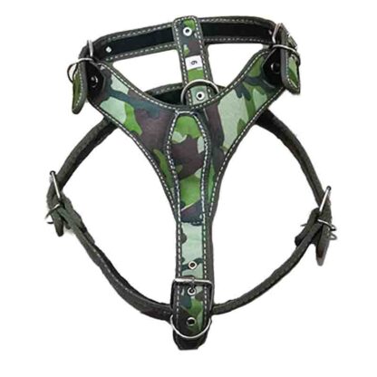 pechera talla 6