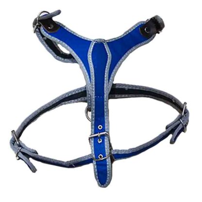 pechera talla 6