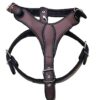 pechera talla 5