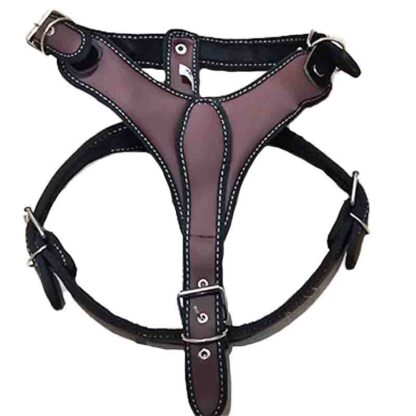 pechera talla 5