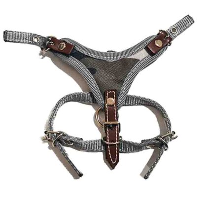 pechera talla 1