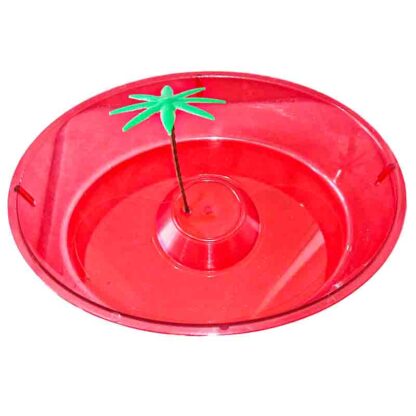 tortuguero circular