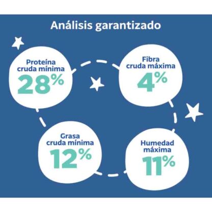 análisis laika cachorro