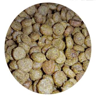 hi dog cachorro granel