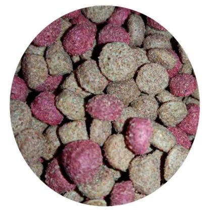 croquetas macareno adulto