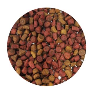 kisha adulto granel gato croquetas salmon