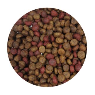 croquetas salmon noble raza pequeña