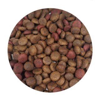 croquetas salmon noble adulto granel