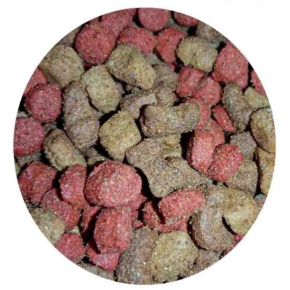 croquetas perrazo cachorro