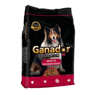 croquetas ganador adulto 20kg