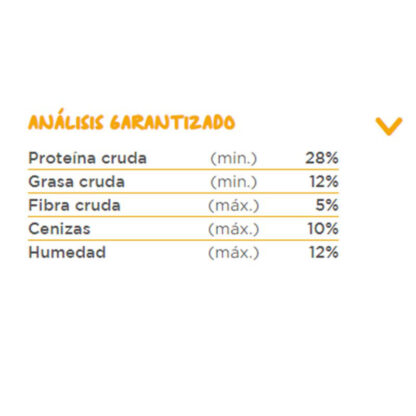 analisis grateful junior