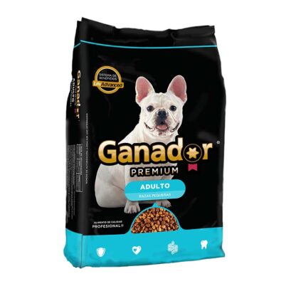 ganador adulto raza pequeña