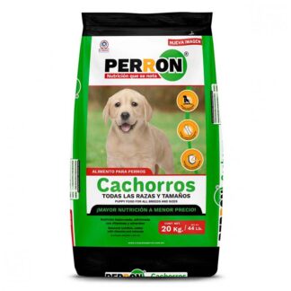 perron cachorro