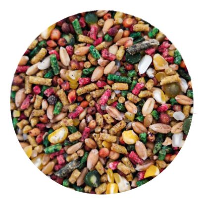 comida para hamster por kilo